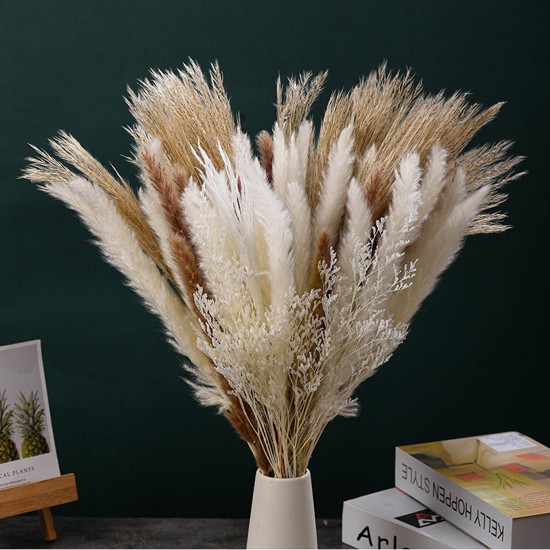 40 Pcs Pampas Grass Dried Flowers Arrangements Palm Leaves Bouquet dried flower bouquet preserved dried flowers plants