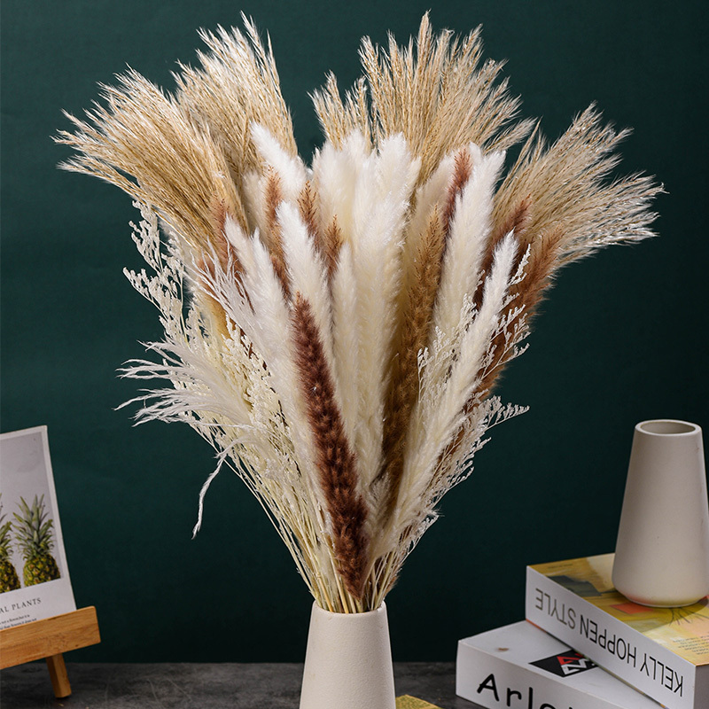 40 Pcs Pampas Grass Dried Flowers Arrangements Palm Leaves Bouquet dried flower bouquet preserved dried flowers plants