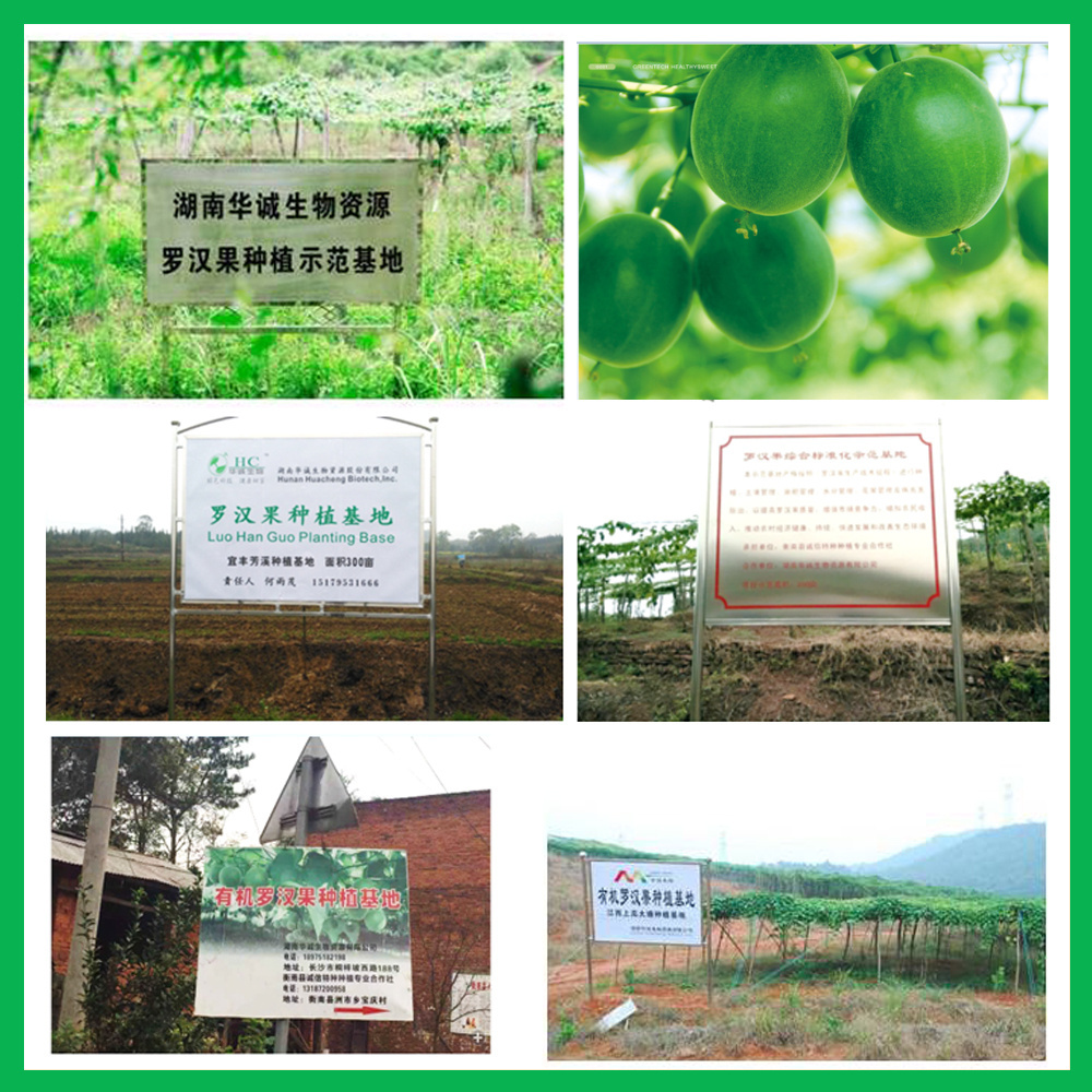 Luo Han Guo Extract Monk Fruit Sweetener Mogroside V5% V10% V25% V50% Monk Fruit Powder Extract