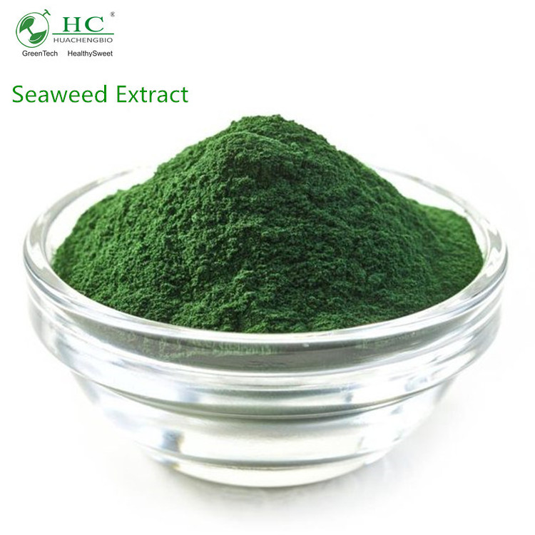 Botanical Extract 4:1 to 200:1,1% to 10% Seaweed Extract Powder