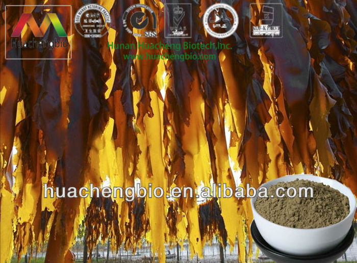 Botanical Extract 4:1 to 200:1,1% to 10% Seaweed Extract Powder