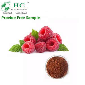 HALAL Kosher Natural 98% Raspberry Ketone Powder Extract