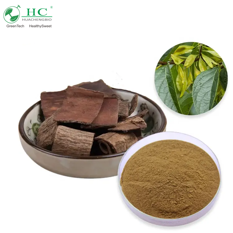 Eucommia Extract Chlorogenic Acid  High Quality Eucommia Ulmoides Chlorogenic Acid Eucommia Ulmoides Extract