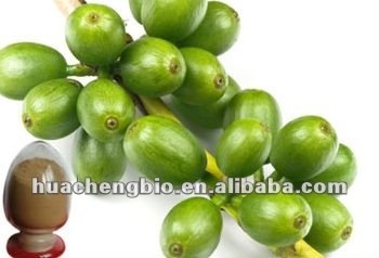 cGMP Factory Natural Green Coffee Bean Extract 25-50% Total Chlorogenic Acid Coffea arabica L.