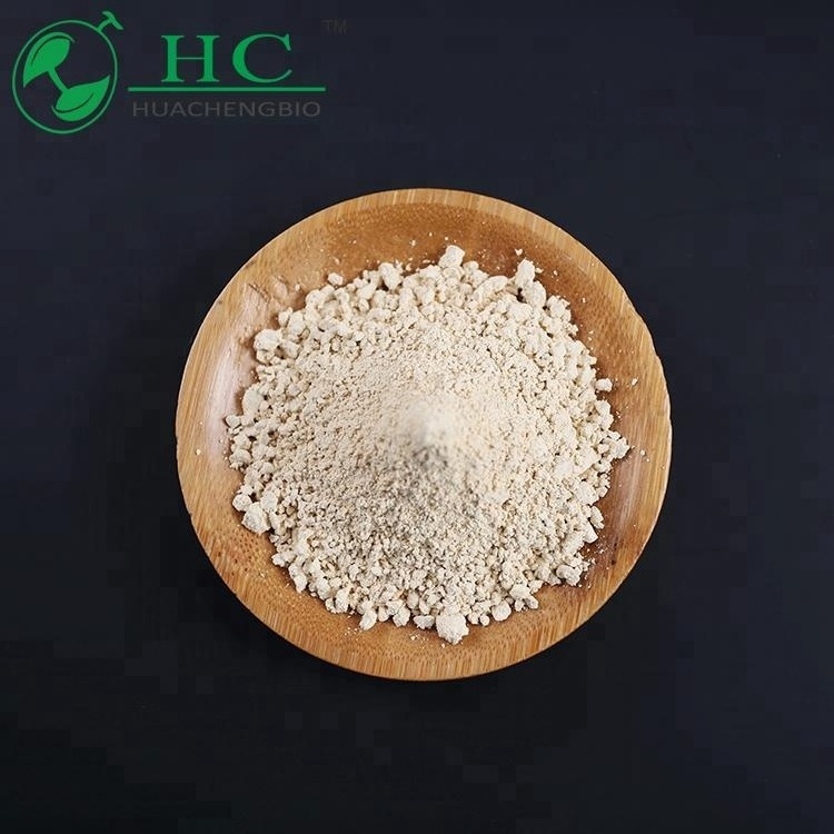 Factory Price Citrus Aurantium Extract Bitter Orange Extract Peel Powder