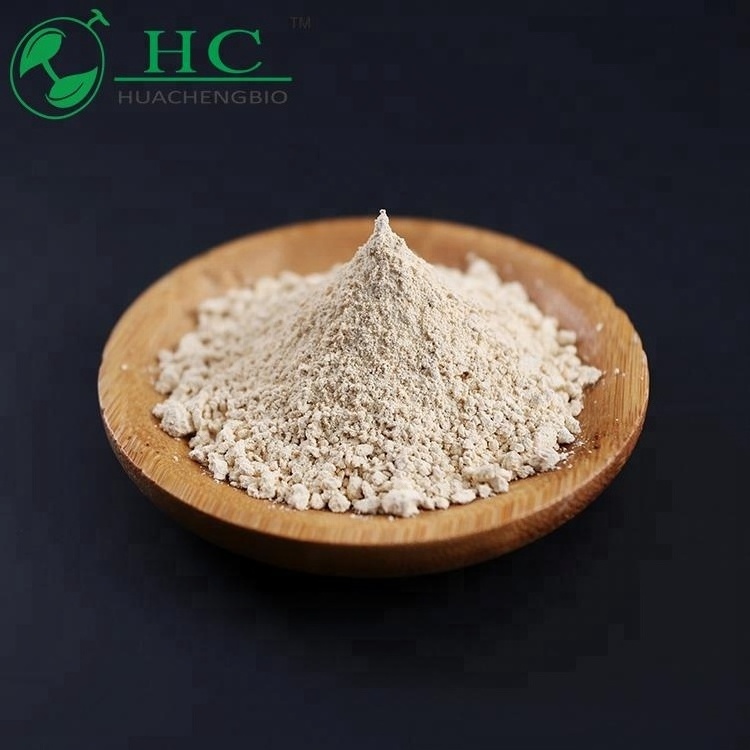 Factory Price Citrus Aurantium Extract Bitter Orange Extract Peel Powder