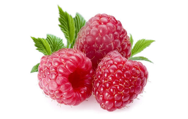 HALAL Kosher Natural 98% Raspberry Ketone Powder Extract