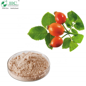 Pure 10:1 Rose Hip Extract Vitamin C Powder Rosehip Extract Polyphenols