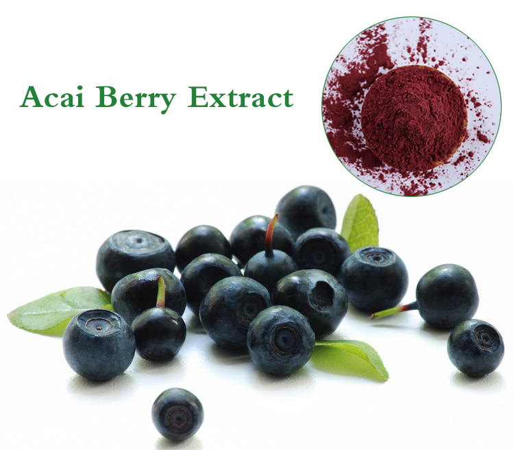 Food Additives Spray Dried Acai Berry Extract Powder Bulk Acai Powder