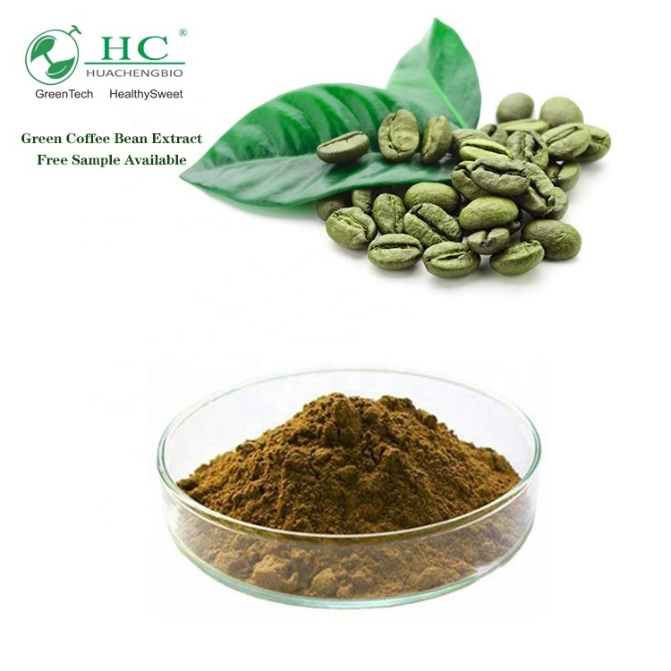 cGMP Factory Natural Green Coffee Bean Extract 25-50% Total Chlorogenic Acid Coffea arabica L.