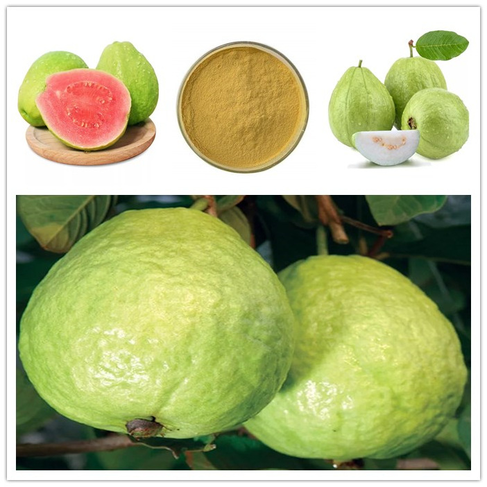 High Quality Pure Red Guava Fruit Juice Powder Guava Extract Powder