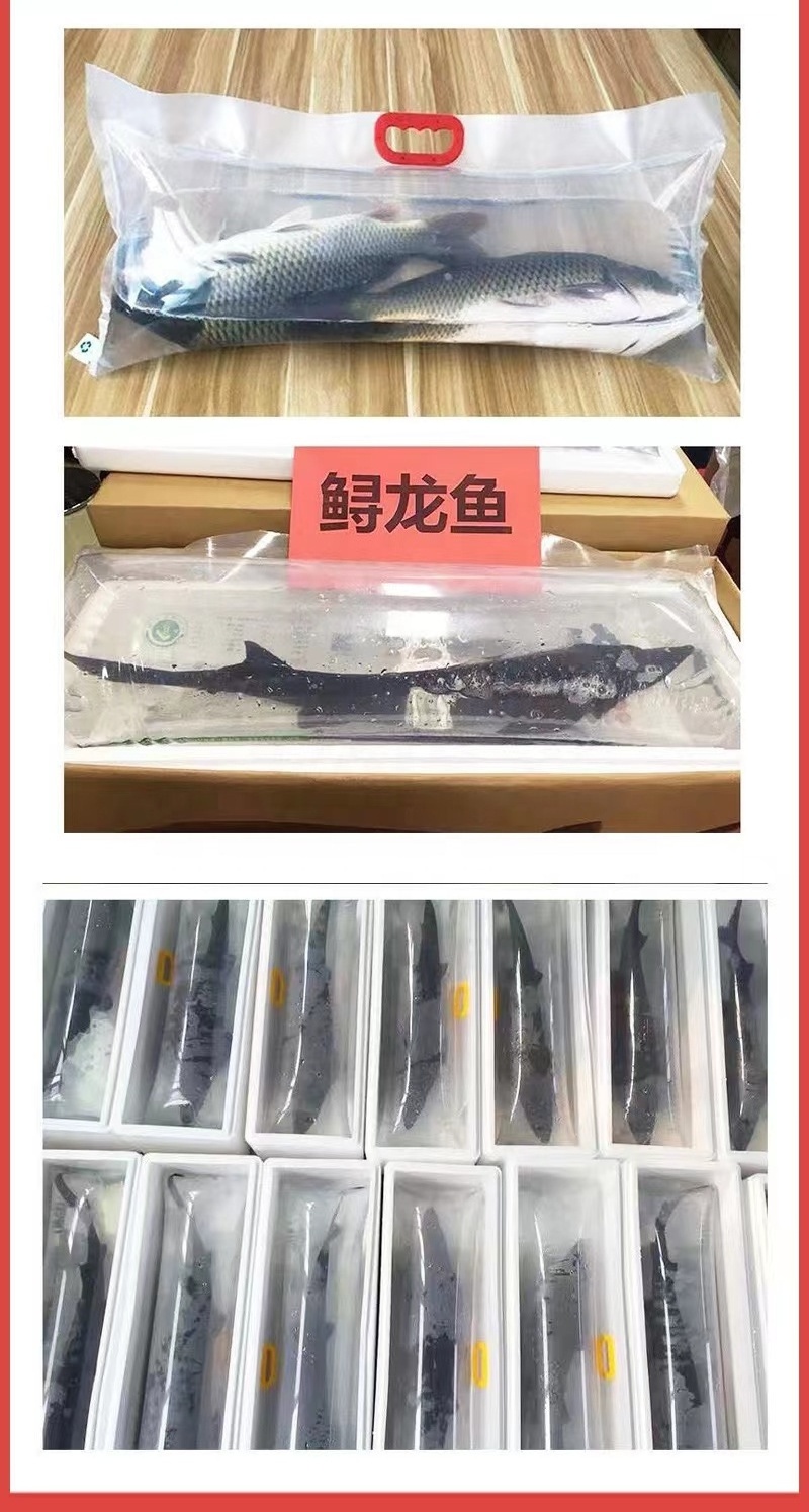 live Fish Bag Squid Goldfish Transport Oxygen Bag live fish packaging