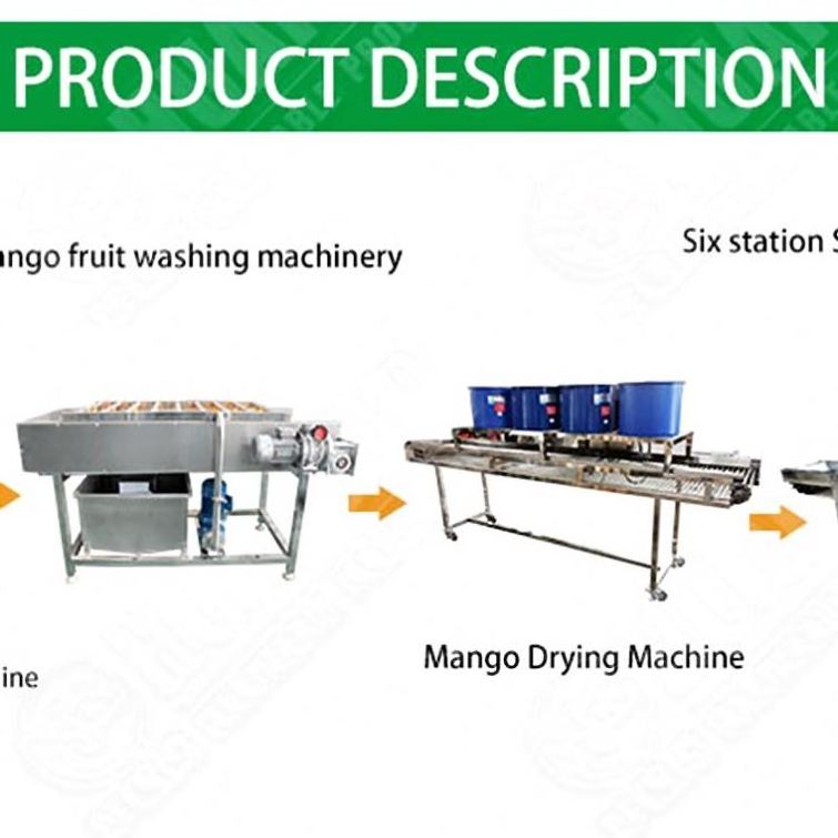 Brush Washing Machine Fruit And Vegetable Multi Vegetables Processing ...