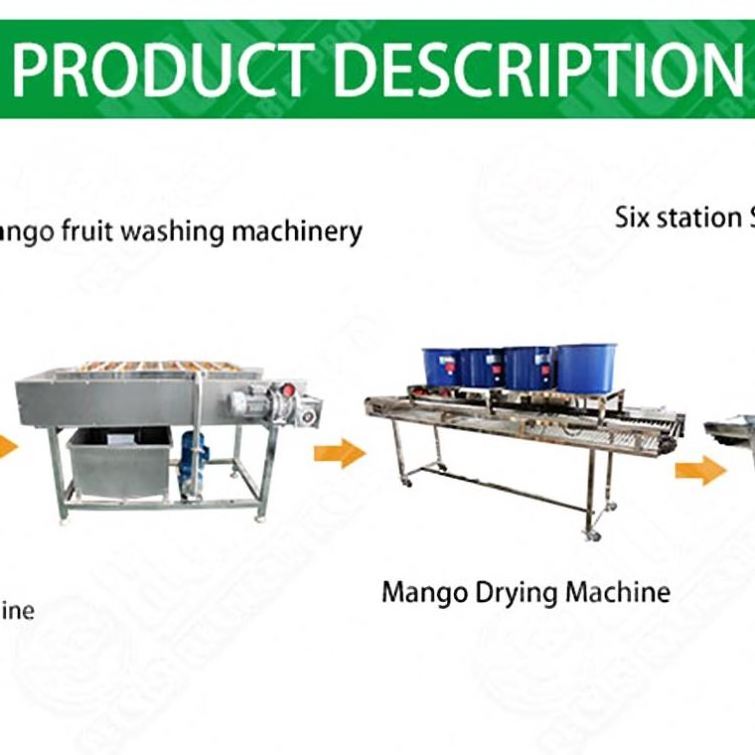 Brush Washing Machine Fruit And Vegetable Multi Vegetables Processing Line Ginger Washing Machine