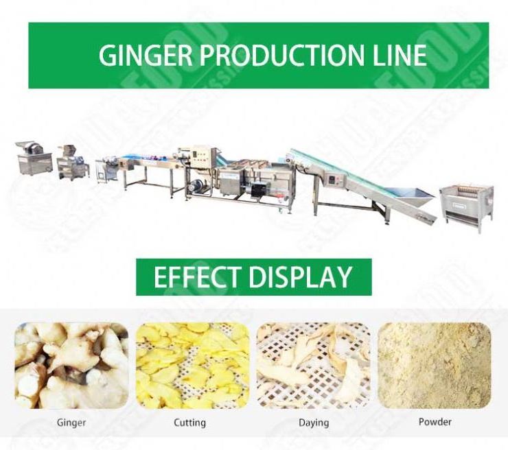 Onion Powder Line Garlic Powder Making Machine Plant Carrot Powder Making Machine