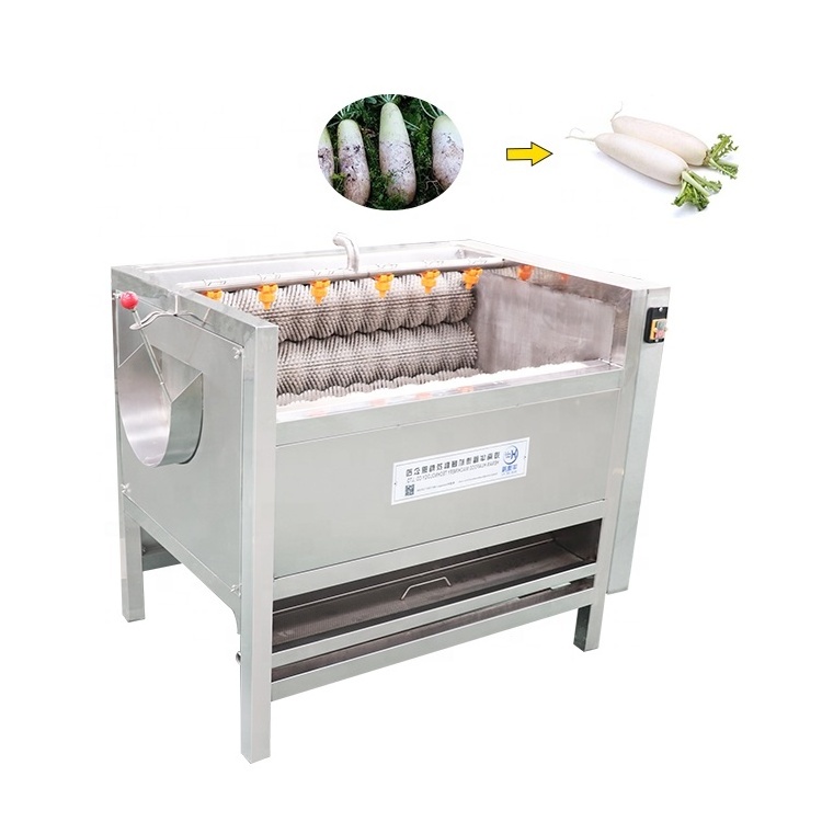 High quality potato / carrot / Cactus cleaning machine Ginger peeler and washing washer/brush peeling machine