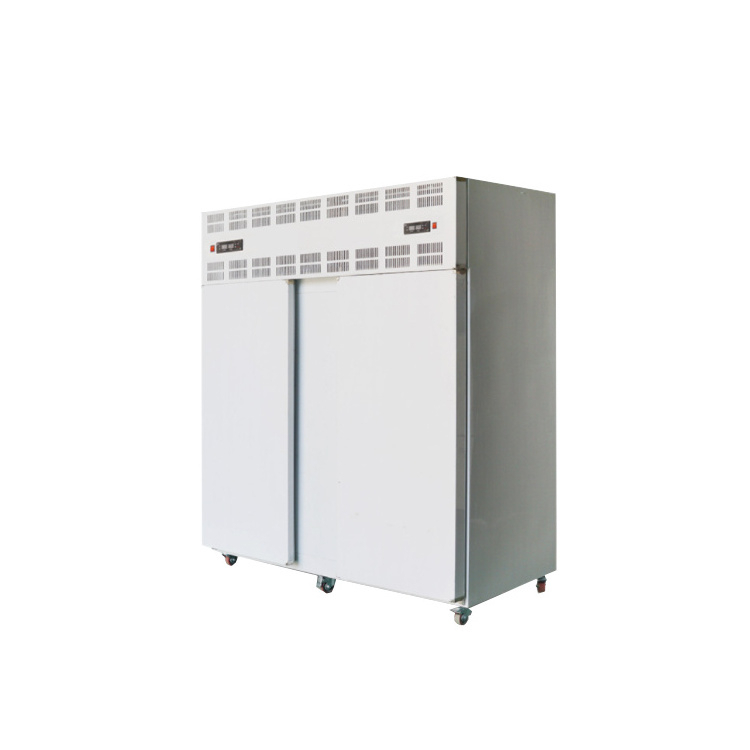 Restaurant Upright Freezer Congelateur Frigo Kulkas Frigorifero Vertical Fridge Commercial Refrigerators Refrigeration Equipment