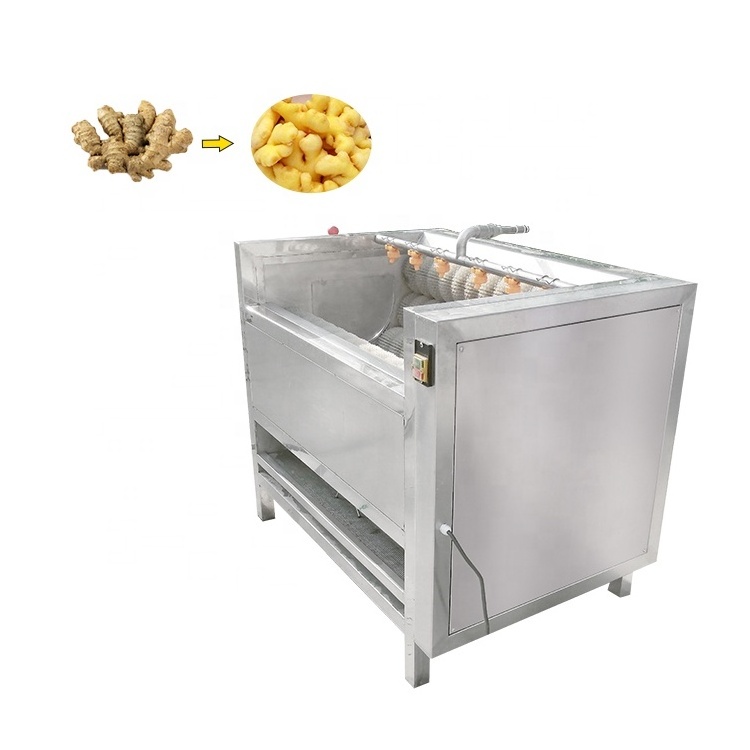 High quality potato / carrot / Cactus cleaning machine Ginger peeler and washing washer/brush peeling machine