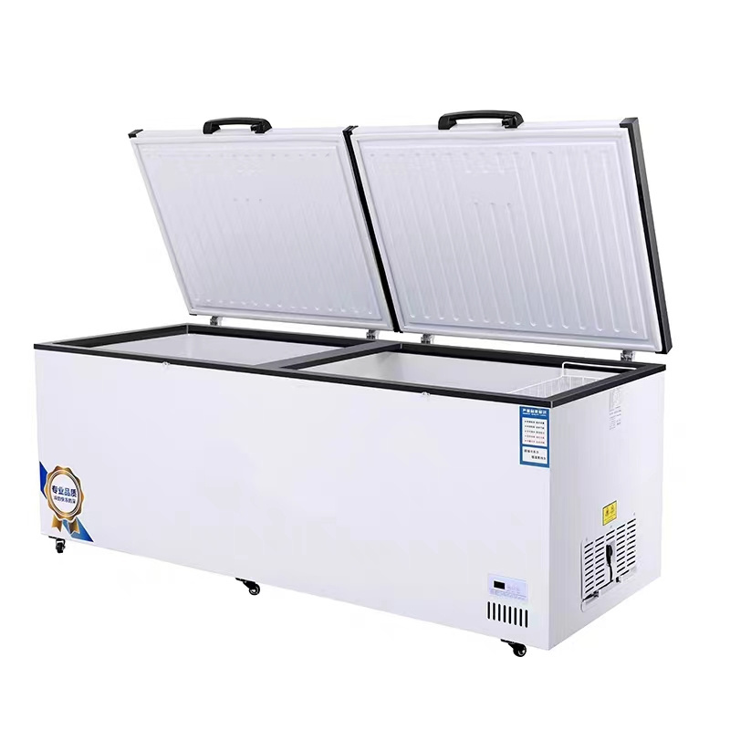 Ultra Low Temperature Freezer Price 1000 Liter 12 Volt Deep Freezer Horizontal Chest Freezer