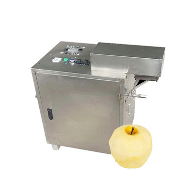 Industrial Fruit mango pulp processing peeling machine Pineapple apple juice extractor machine Passion fruit pulping machine