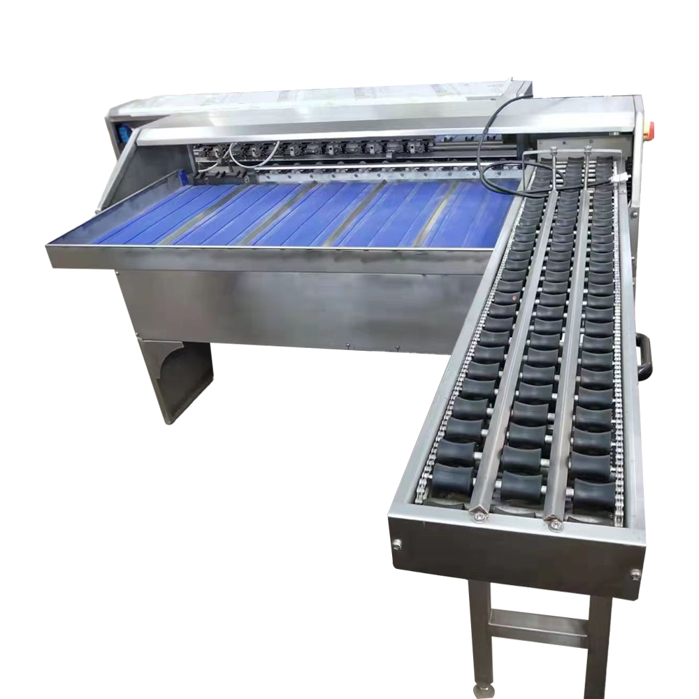 Egg Grading Machine Egg Packing Machine