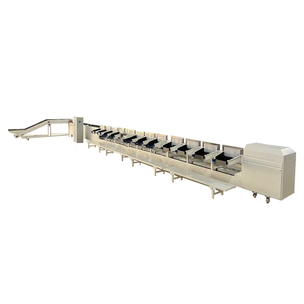 Automatic citrus fruits sorting apple grading sorting conveyor machine