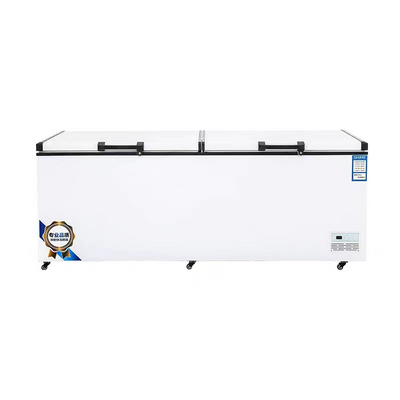 Ultra Low Temperature Freezer Price 1000 Liter 12 Volt Deep Freezer Horizontal Chest Freezer