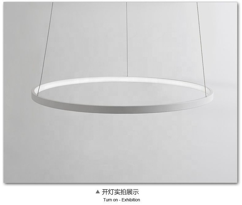 60cm Contemporary Ceiling Ring Chandelier Light Led Circle Pendant Lamp Fancy Lighting Design Hanging Light Fixtures