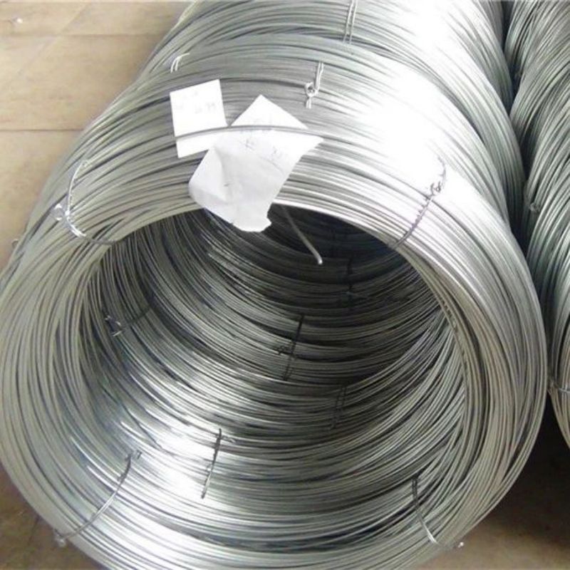 Wholesale SAE10b21 A53 Q235 Q345 Q195 High Carbon Spring Galvanized Steel Wire for Construction/Building Material