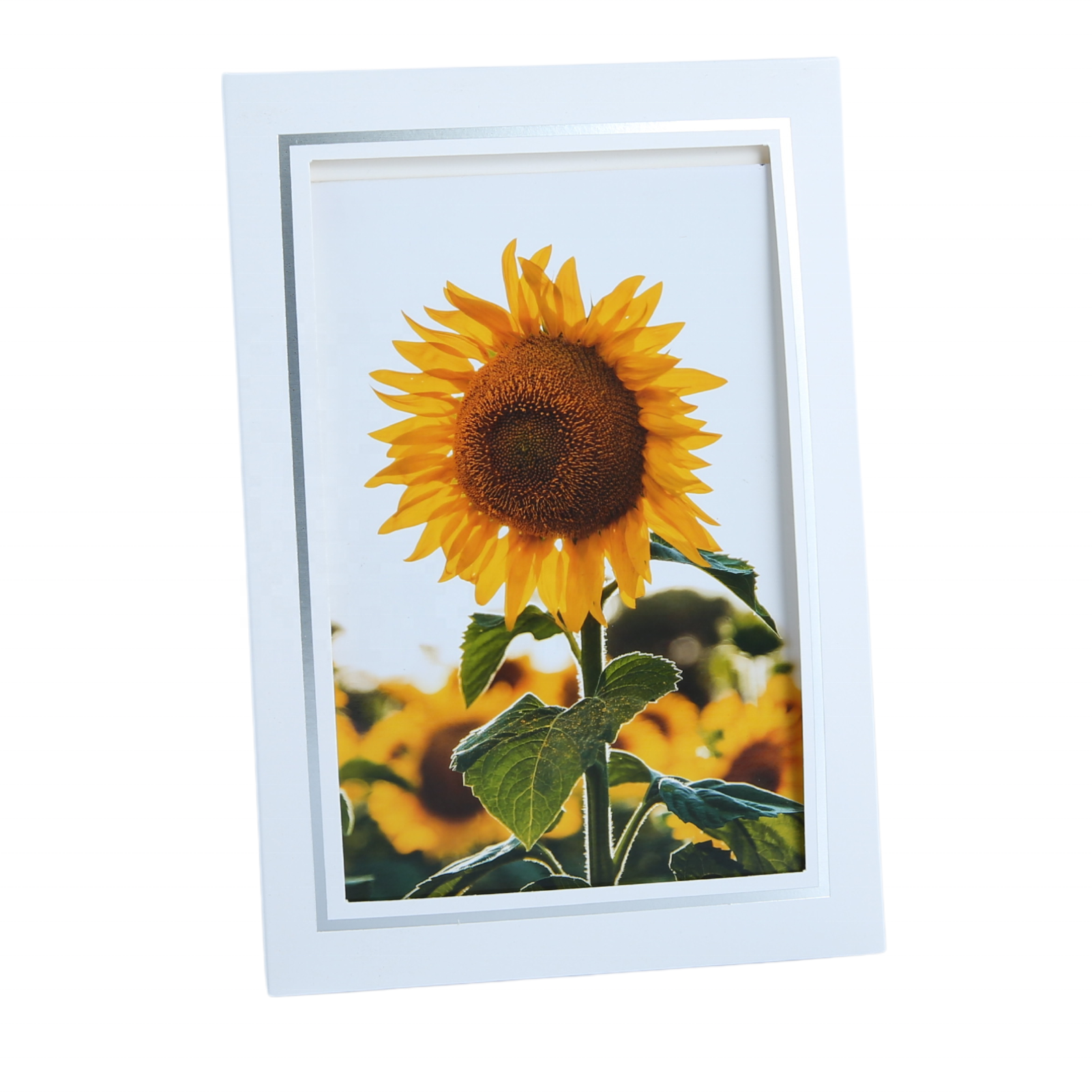 Oem Paper Picture Frame with gold lining Folder for 4*6 cards for wedding,Birthday.Blank photo Insert Note Cards tith envelopes