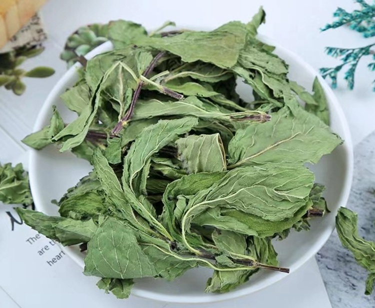 BO HE premium dry peppermint herbal tea wholesale organic green spearmint tea Chinese dried mint leaves granules for loose tea