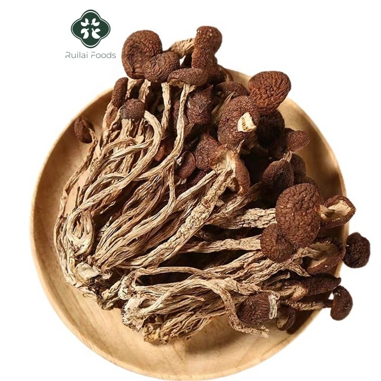 Chinese high quality Dried chashugu tea Tree Mushrooms edible dried Agrocybe Cylindracea mushroom