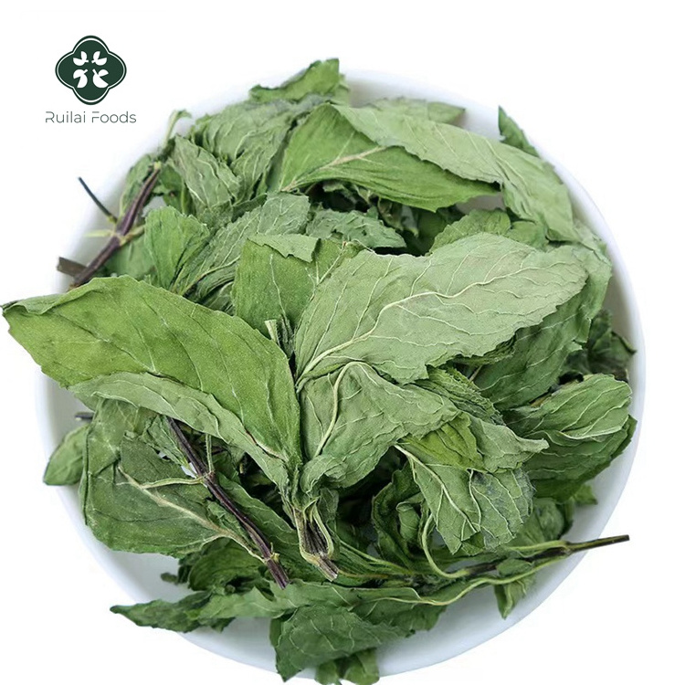 BO HE premium dry peppermint herbal tea wholesale organic green spearmint tea Chinese dried mint leaves granules for loose tea