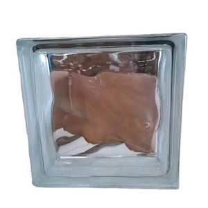 Building Material Decorative Glass Block Glass Brick