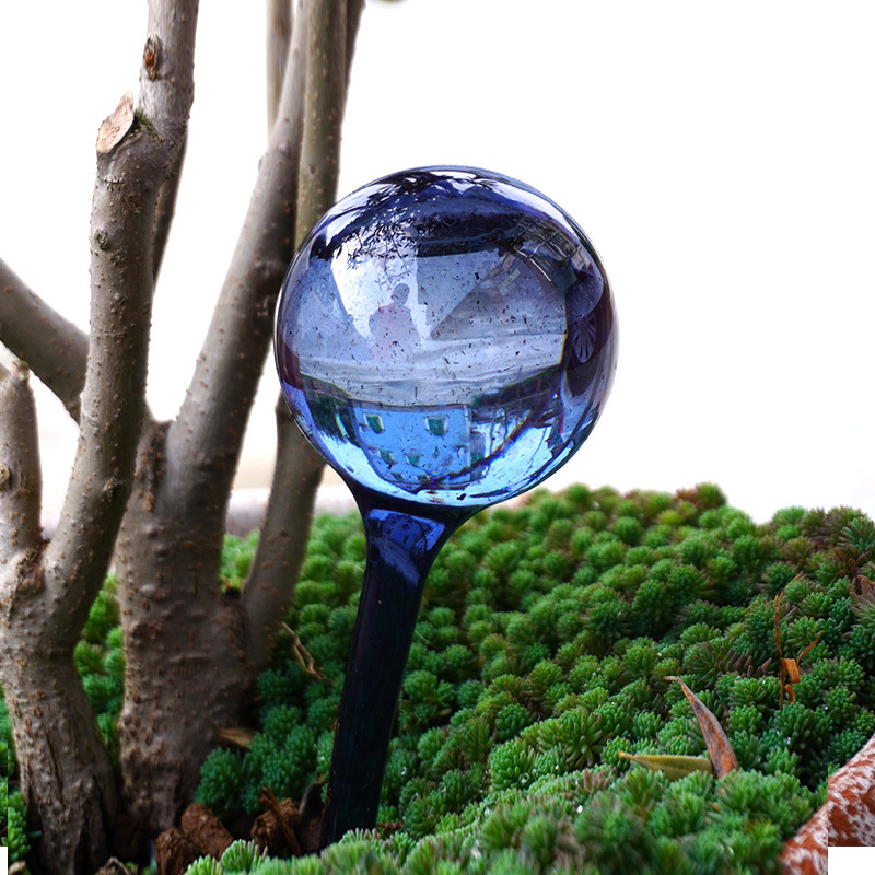 Plant Watering Globes Automatic Self Watering PETG Plastic Water Globe Other Watering & Irrigation