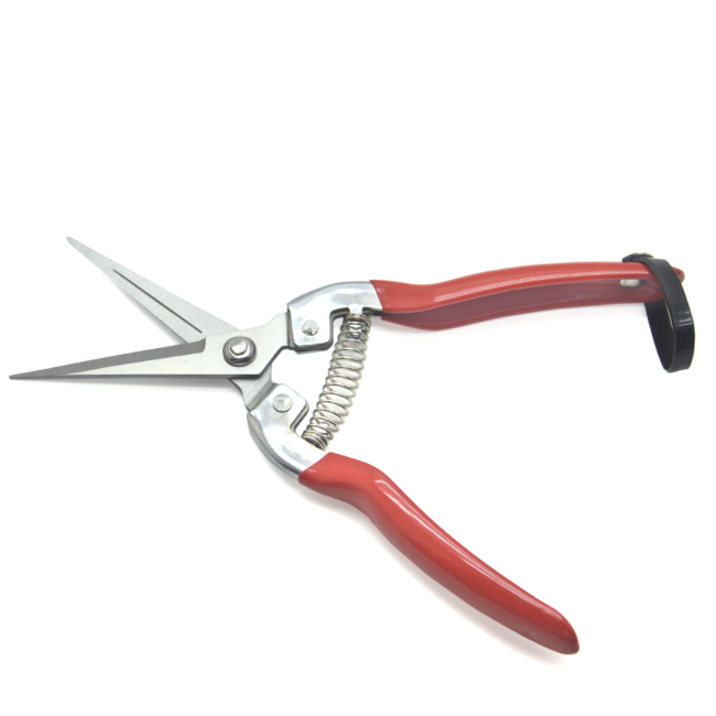 HUAJU Garden tools Pruning tree shear grape pruner cutting scissors for garden grape flower shears