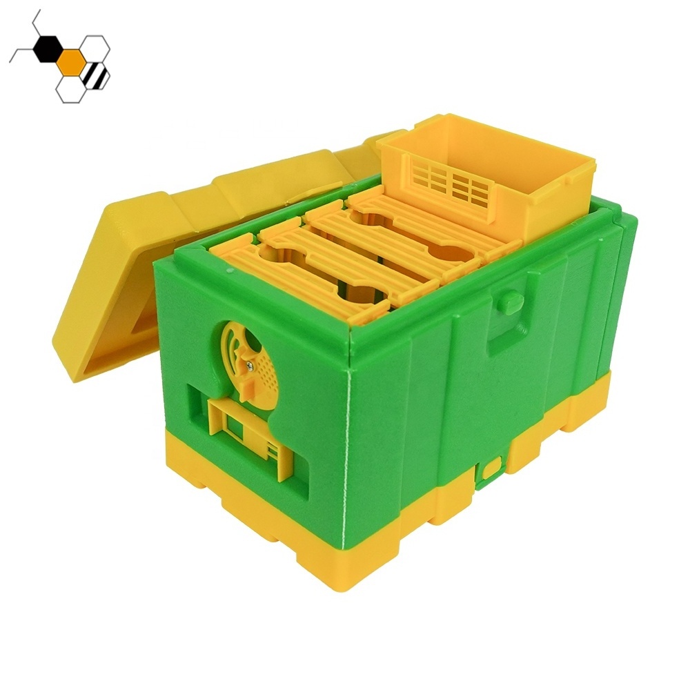 Plastic Nuc Beeive Queen Rearing Beekeeping Bee Hive Nuc Bee Box