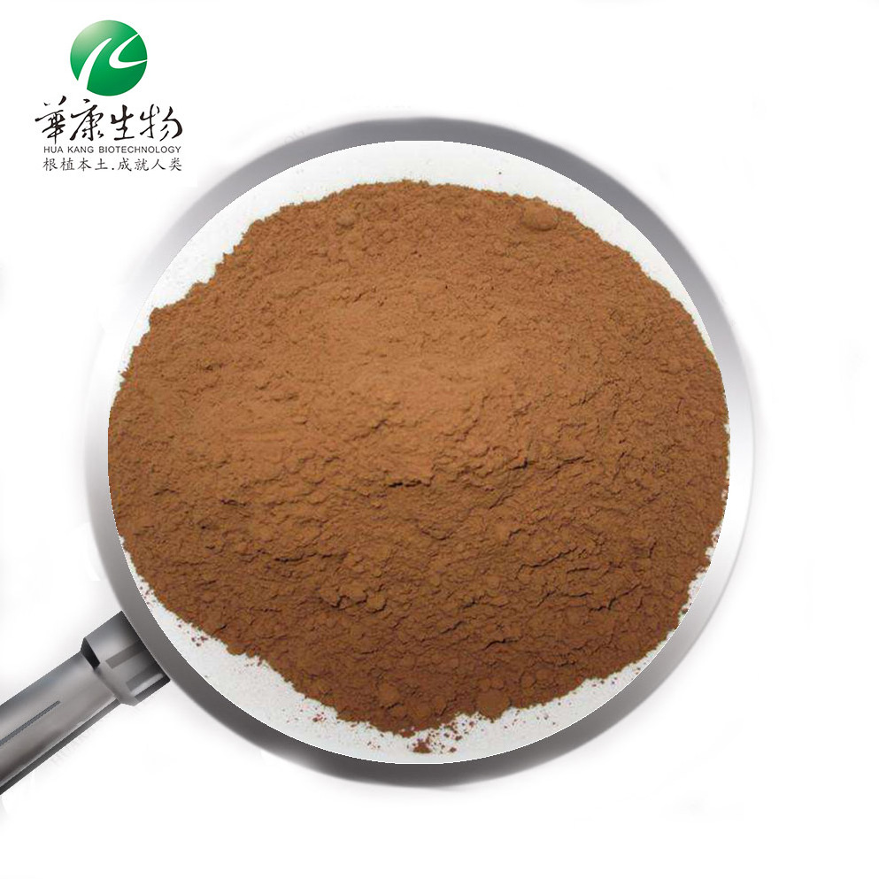 ISO factory supply carnosic acid Savia Extract Sage Leaf Extract Powder Rosmarinic acid