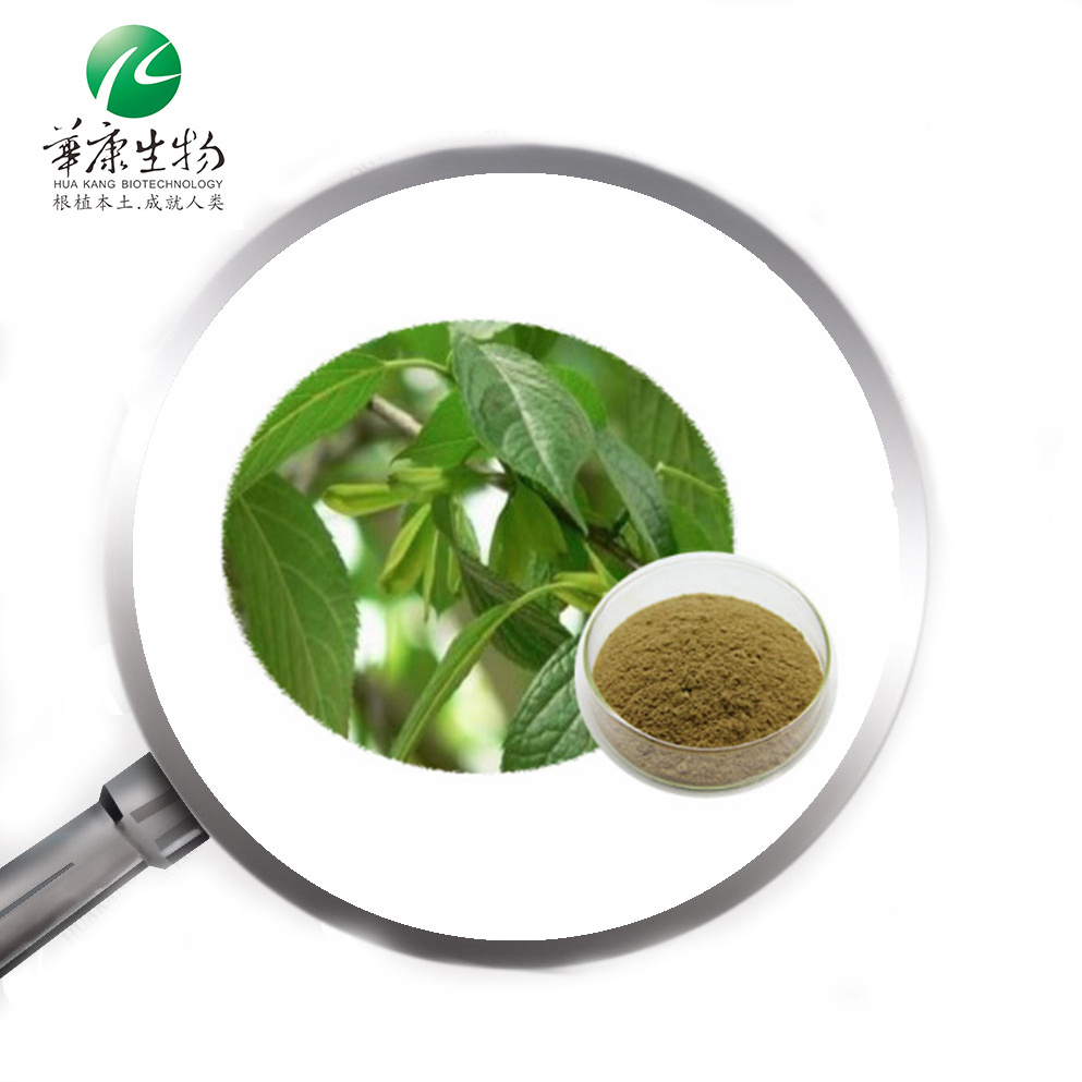 5%-98% Chlorogenic Acid Eucommia Extract/ Eucommia Ulmoides Extract/Eucommia Bark Extract