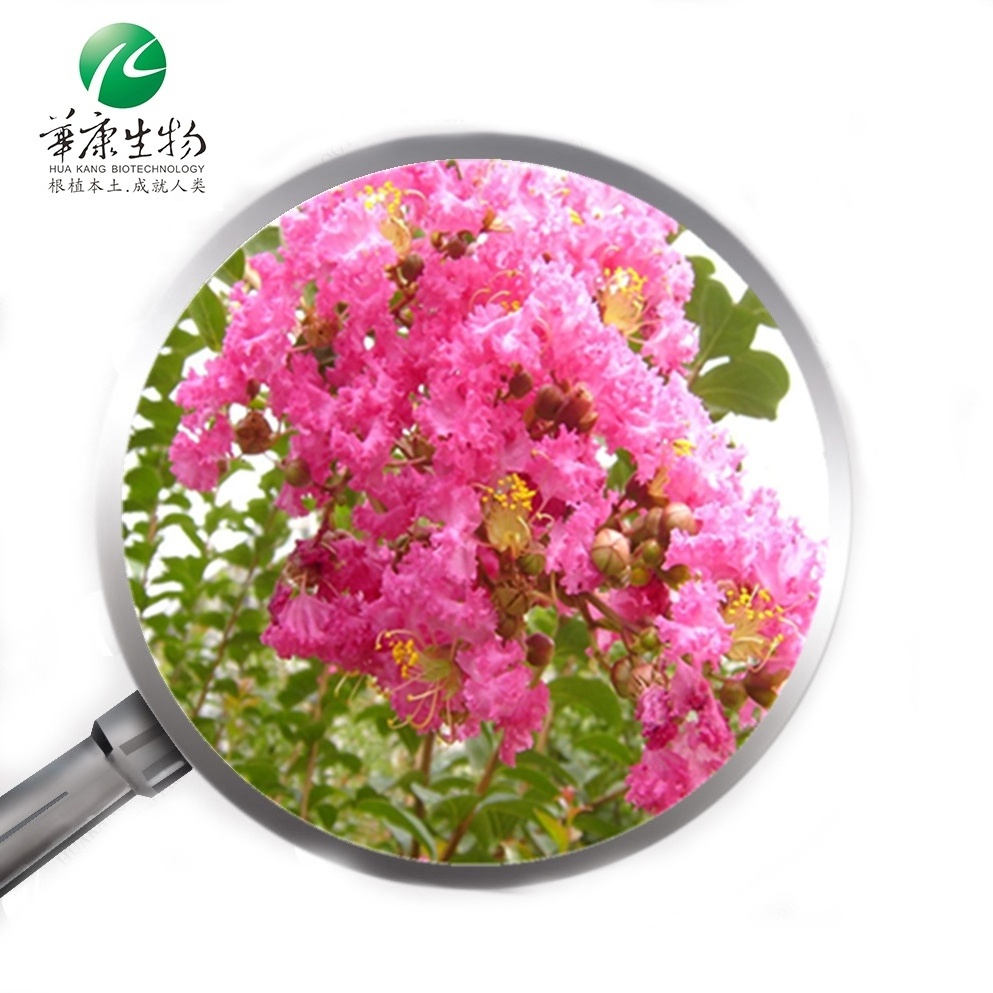 Banaba Leaf Extract, Banaba Tea/Banaba Extract 1%-10%-98% Corosolic Acid