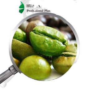 Ingredient Green Coffee Bean Extract 50% Chlorogenic Acid