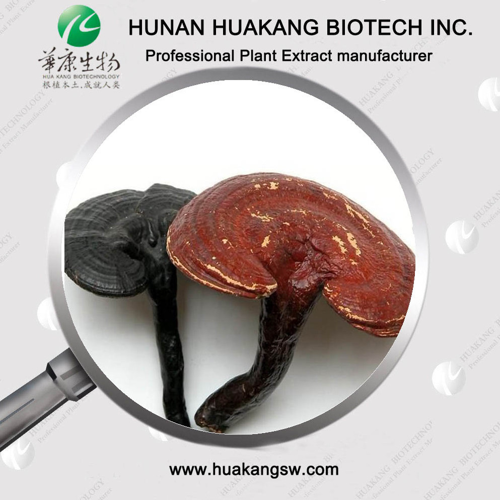 Factory Price Orgainc Ganoderma Lucidum Extract 10%-30% Beta Glucan Reishi Mushroom Extract Powder