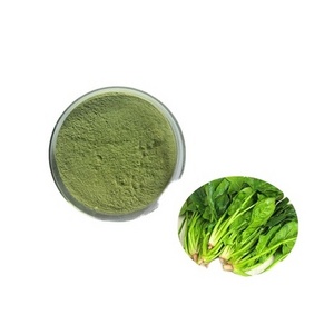 Huakang Organic Natural Green Water Soluble  Vegetable Powder Spinach Powder