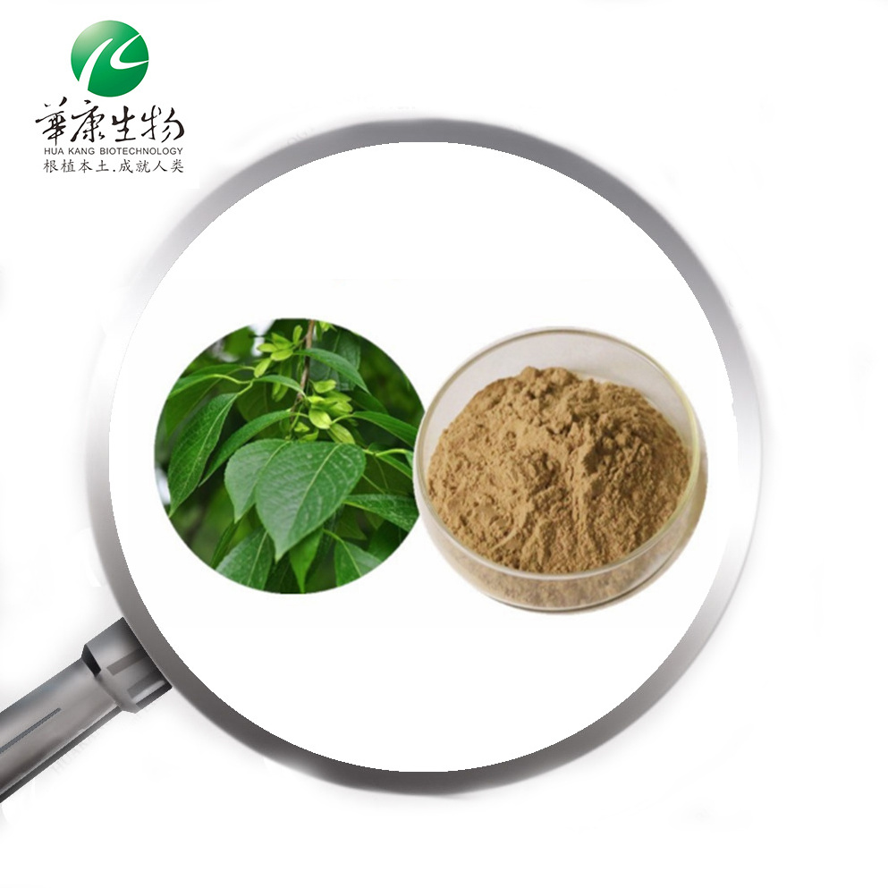 5%-98% Chlorogenic Acid Eucommia Extract/ Eucommia Ulmoides Extract/Eucommia Bark Extract