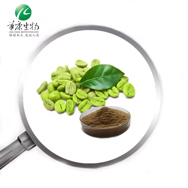 Top Quality Green Coffee Bean Extract 50% Chlorogenic Acid Green Coffee Bean Extract Powder