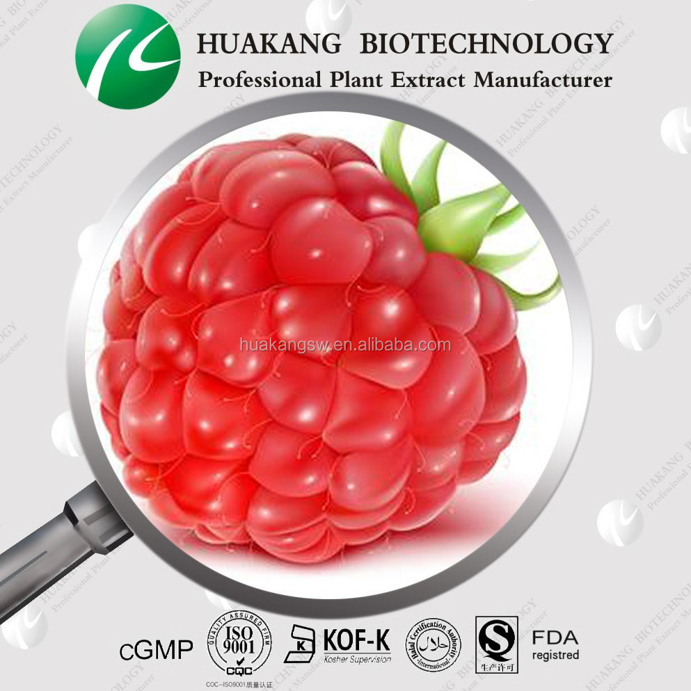 Raspberry Ketone Red Raspberry Extract Red Raspberry powder