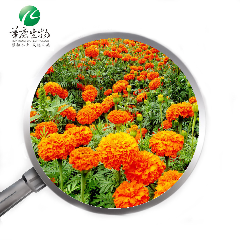 Marigold or CALENDULA flower Lutein Zeaxanthin Extract powder