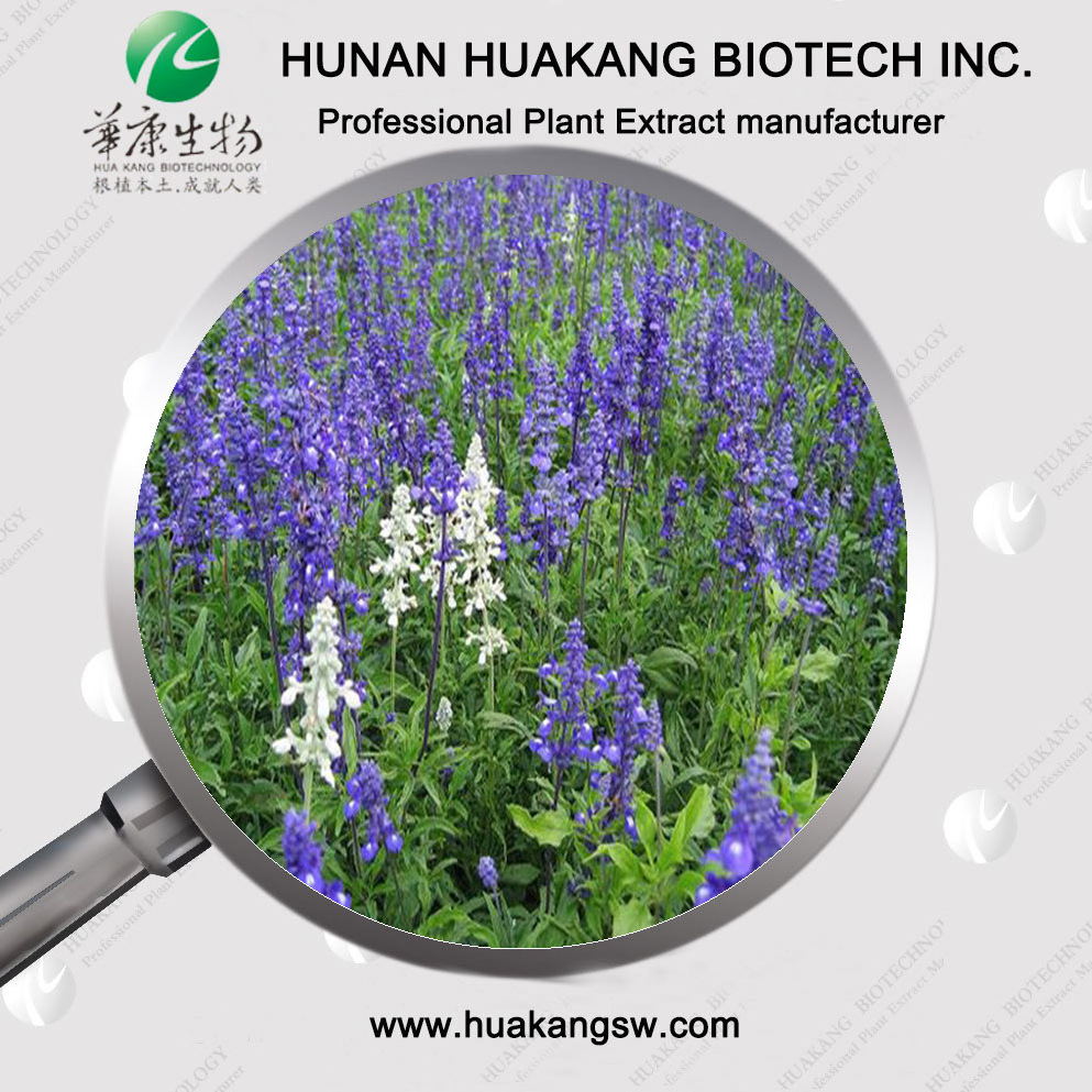 ISO factory supply carnosic acid Savia Extract Sage Leaf Extract Powder Rosmarinic acid