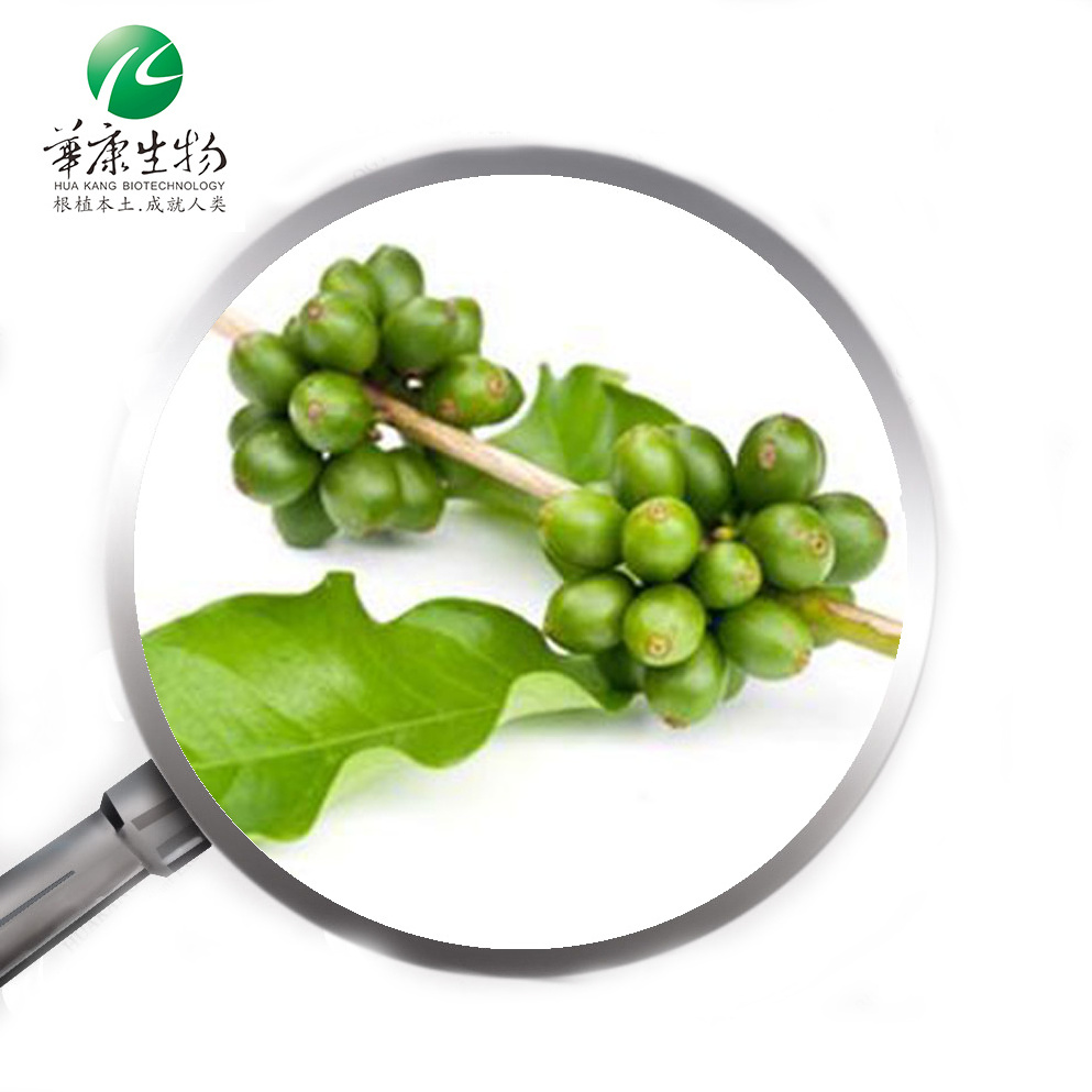 Factory supply high quality green coffee bean extract powder Chlorogenic Acid 20%~98%