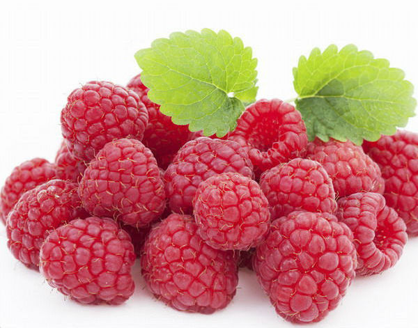 Raspberry Ketone Red Raspberry Extract Red Raspberry powder